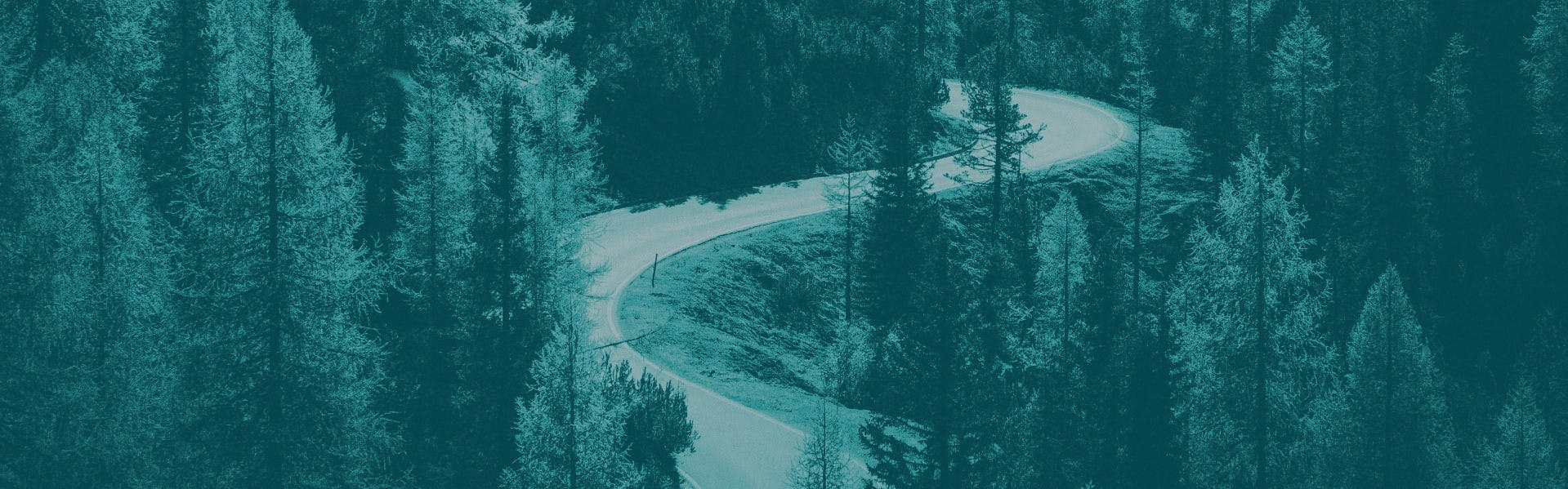zdjęcie przedstawiającę górską drogę wśród drzew z nałożonym zielonym filtrem